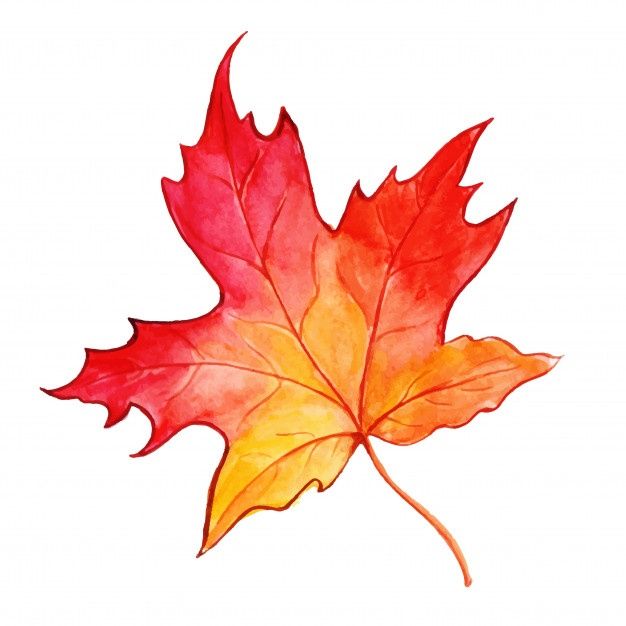 herfstblaadje_kleur
